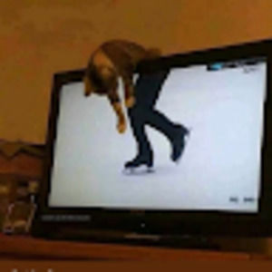 Meet your Posher, Sean